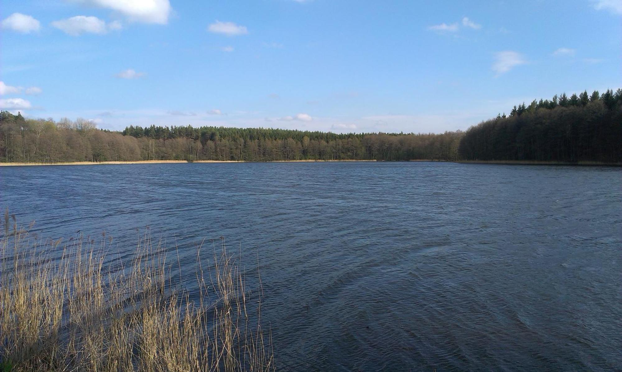 Agro-Tur Domki W Szuwarach Kuty Rom bilde