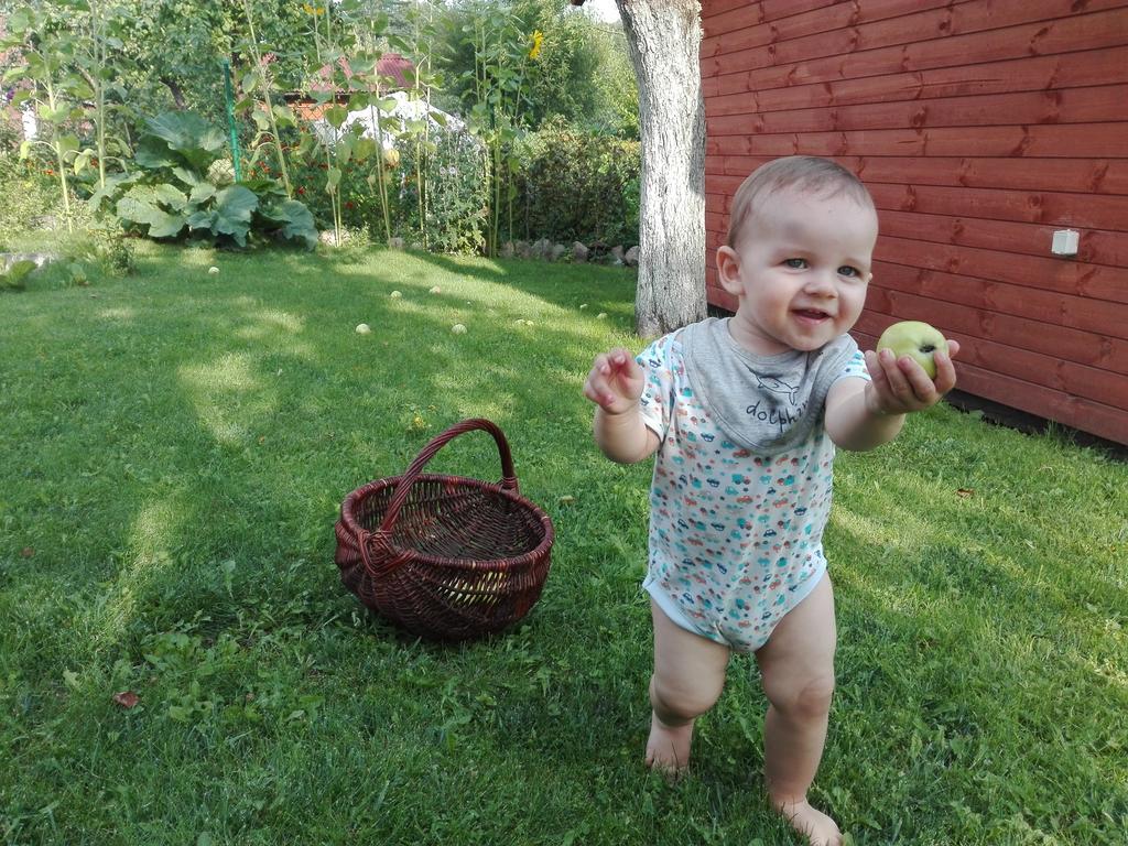 Agro-Tur Domki W Szuwarach Kuty Eksteriør bilde