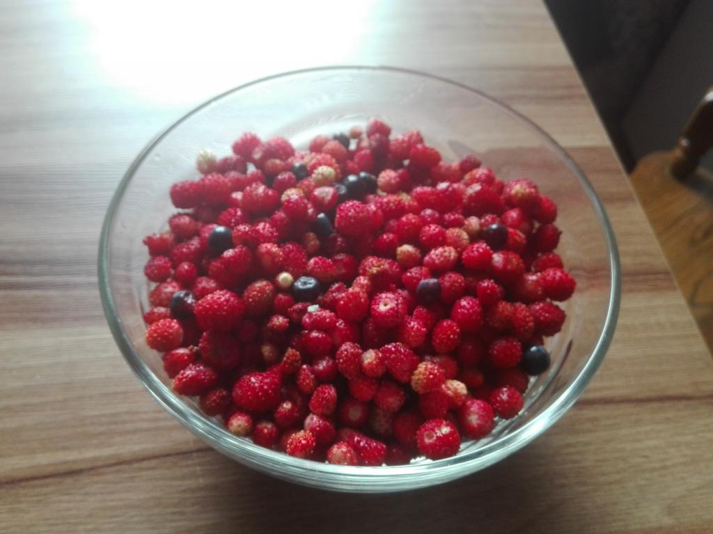 Agro-Tur Domki W Szuwarach Kuty Eksteriør bilde