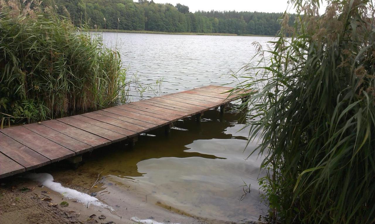 Agro-Tur Domki W Szuwarach Kuty Rom bilde